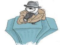 达日县取证公司解说第三者承担离婚赔偿责任吗
